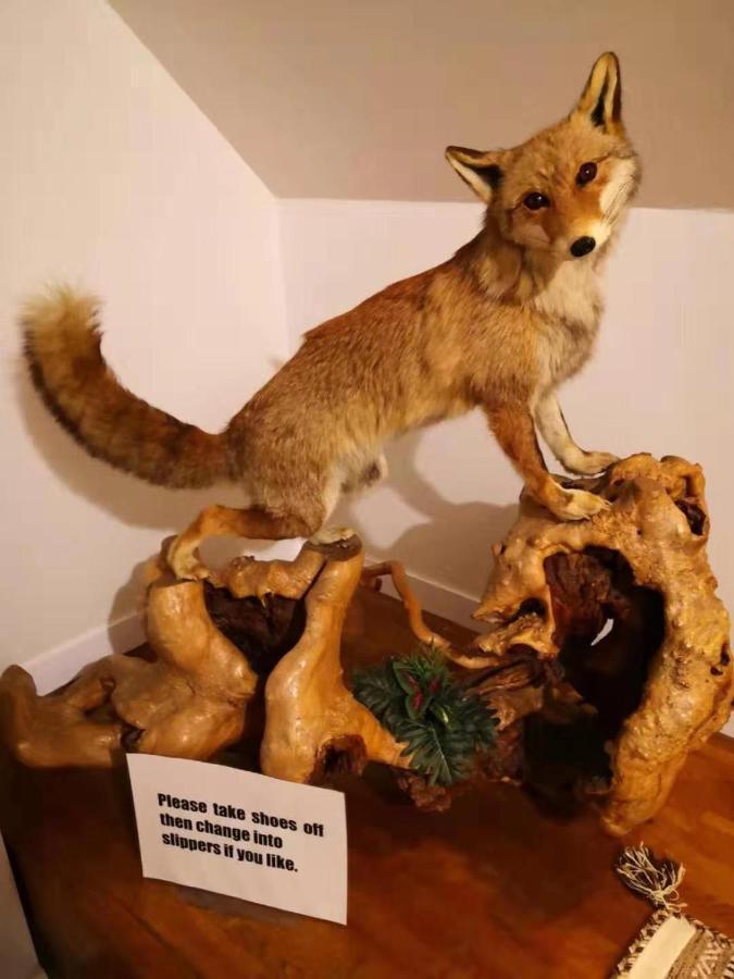 Hakuba Snow Fox Panzió Kültér fotó